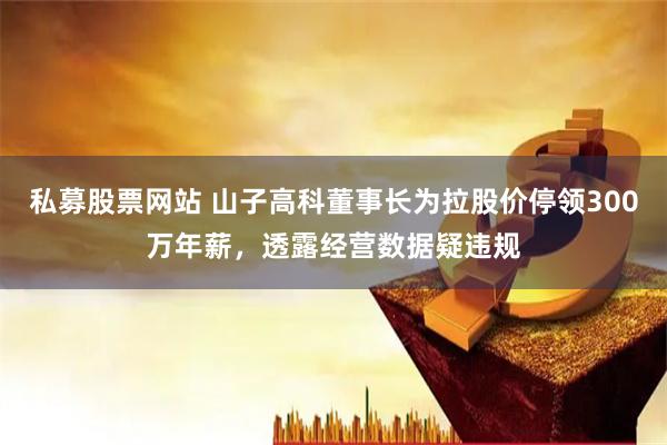 私募股票网站 山子高科董事长为拉股价停领300万年薪，透露经营数据疑违规