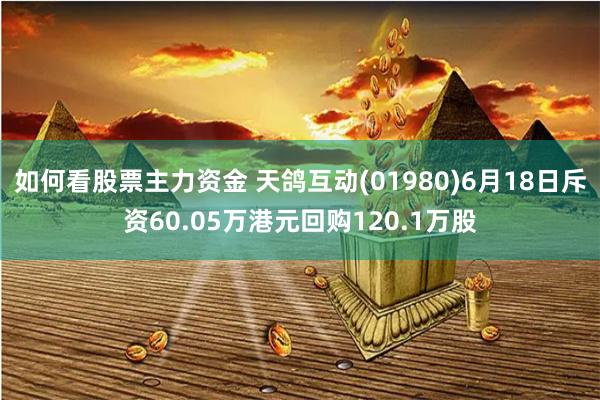 如何看股票主力资金 天鸽互动(01980)6月18日斥资60.05万港元回购120.1万股