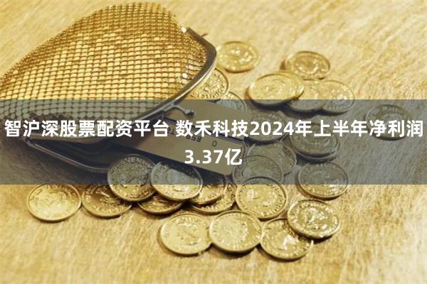 智沪深股票配资平台 数禾科技2024年上半年净利润3.37亿