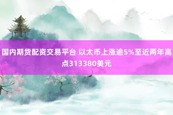 国内期货配资交易平台 以太币上涨逾5%至近两年高点313380美元